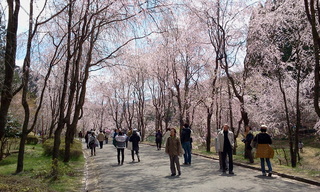 2011-04-24 12.54.22.jpg