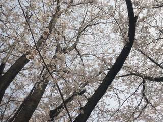 DSC_1044.jpg