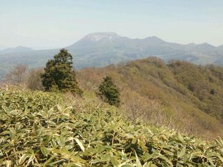 DSC_1092.jpg